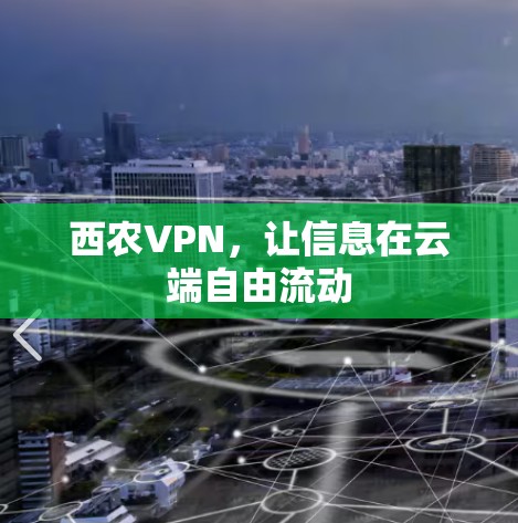 西农VPN,让信息在云端自由流动
