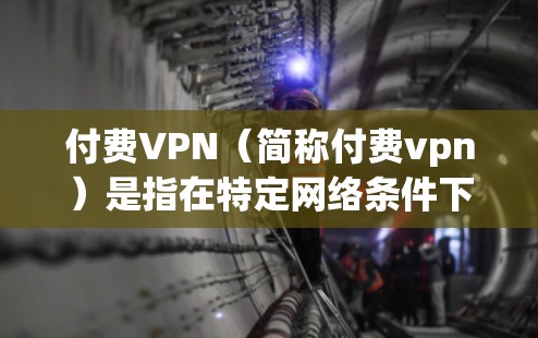 付费VPN（简称付费vpn）是指在特定网络条件下，通过付费服务来实现VPN功能的网络设备或软件。VPN技术用于在安全的网络环境中访问远程服务器或设备，以保护用户的数据和隐私