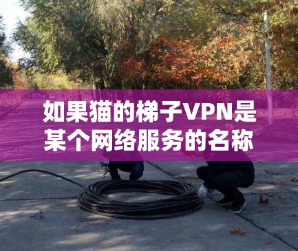 如果猫的梯子VPN是某个网络服务的名称或某个平台的名称,建议用户通过官方渠道了解其运营方式和合法性。此外,如果用户已经使用过该平台,建议咨询相关法律或网络安全机构,以确保其合法使用