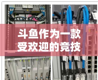 斗鱼作为一款受欢迎的竞技类游戏,吸引了大量粉丝。为了保护主播的安全和游戏体验,选择一个可靠VPN服务是必要的。以下是一些关于如何选择和使用斗鱼主播VPN的建议