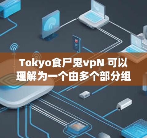 Tokyo食尸鬼vpN 可以理解为一个由多个部分组成的 username，具体含义如下