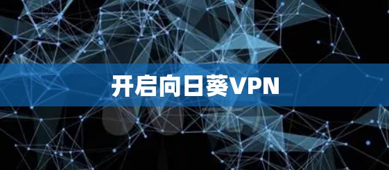 开启向日葵VPN