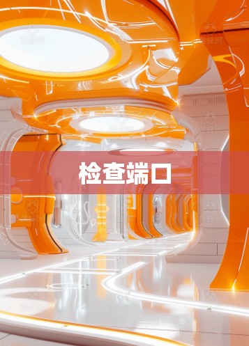 检查端口