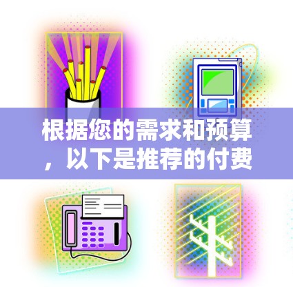 根据您的需求和预算，以下是推荐的付费VPN类型和选择建议