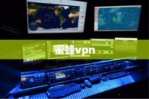 蜜蜂vpn 蜜蜂vpn