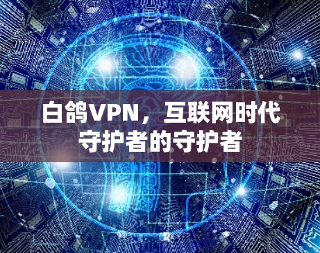 白鸽VPN，互联网时代守护者的守护者