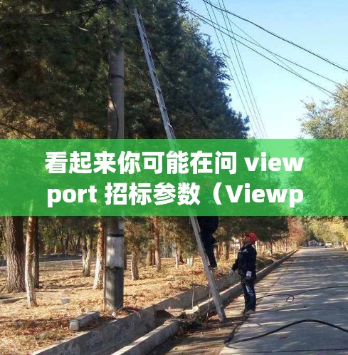 看起来你可能在问 viewport 招标参数(Viewport Parameters)或者是VPN(VPS)的某些参数。以下是我对相关问题的解释