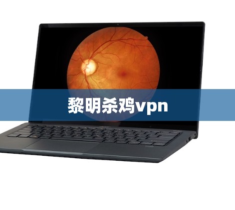 黎明杀鸡vpn