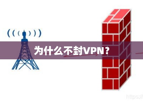 为什么不封VPN？