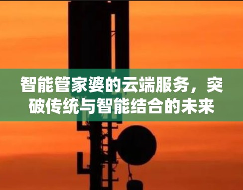 智能管家婆的云端服务,突破传统与智能结合的未来趋势