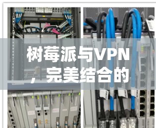 树莓派与VPN,完美结合的上网体验
