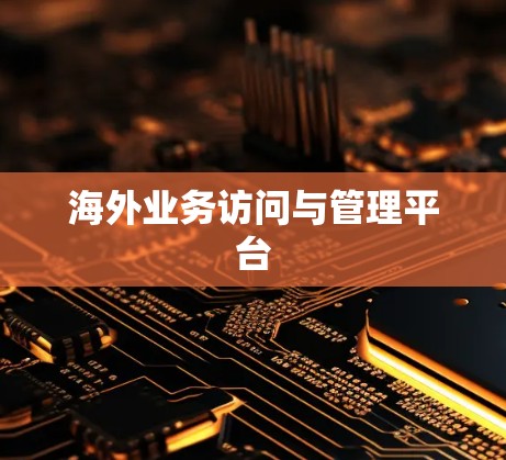海外业务访问与管理平台