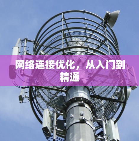 网络连接优化,从入门到精通