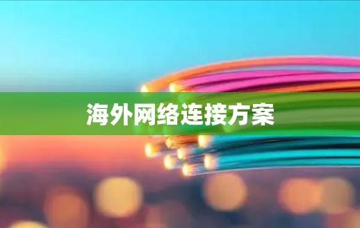 海外网络连接方案
