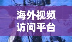 海外视频访问平台是专门用于访问其他国家视频内容的网络服务或软件工具，帮助用户在国际范围内获取视频内容。以下是对这些平台的详细分类和总结