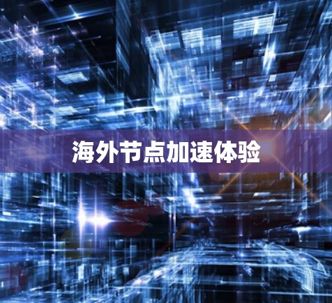 海外节点加速体验