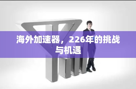 海外加速器，226年的挑战与机遇