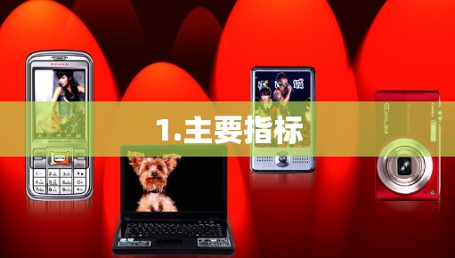 1.主要指标 1.主要指标