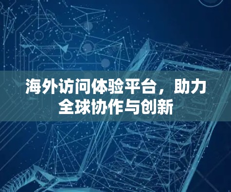 海外访问体验平台,助力全球协作与创新 海外访问体验平台,助力全球协作与创新