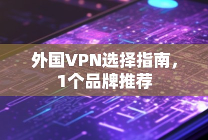 外国VPN选择指南，1个品牌推荐