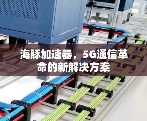 海豚加速器,5G通信革命的新解决方案 海豚加速器,5G通信革命的新解决方案