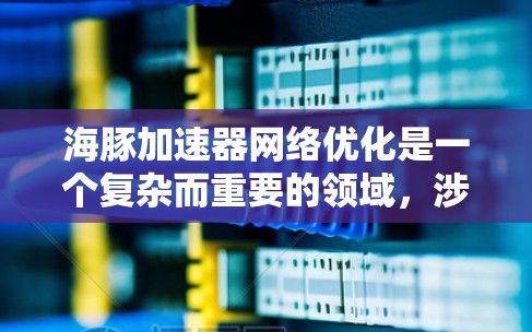 海豚加速器网络优化是一个复杂而重要的领域，涉及多个方面，从网络设计到用户体验优化，再到安全措施，最终影响到用户网络连接的性能和安全。以下是对该领域问题的分步解释