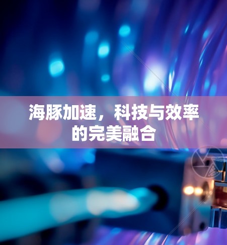 海豚加速，科技与效率的完美融合
