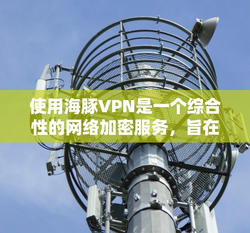 使用海豚VPN是一个综合性的网络加密服务，旨在保护用户的数据安全和隐私。以下是一个详细的使用步骤和体验总结