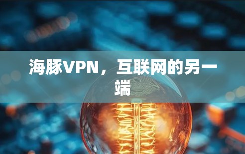 海豚VPN,互联网的另一端 海豚VPN,互联网的另一端