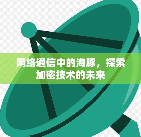 网络通信中的海豚，探索加密技术的未来