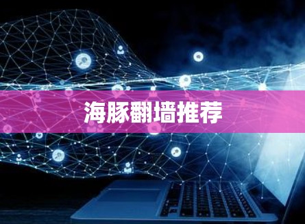 海豚翻墙推荐