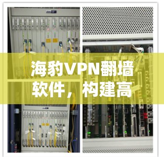 海豹VPN翻墙软件,构建高质量VPN梯子 海豹VPN翻墙软件,构建高质量VPN梯子