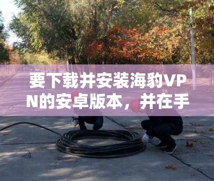 要下载并安装海豹VPN的安卓版本，并在手机上使用，可以按照以下步骤进行