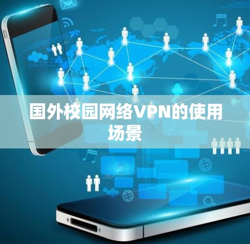 国外校园网络VPN的使用场景