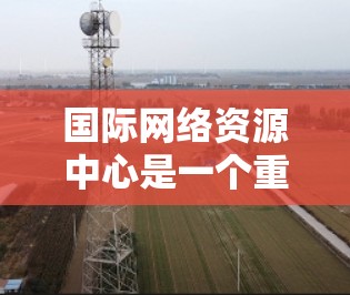 国际网络资源中心是一个重要的网络基础设施资源中心，旨在提供网络资源的获取、管理、合作和支持，促进全球网络基础设施的发展。以下是对该中心的详细总结