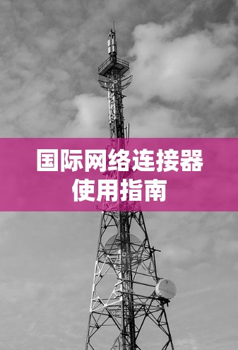 国际网络连接器使用指南 国际网络连接器使用指南