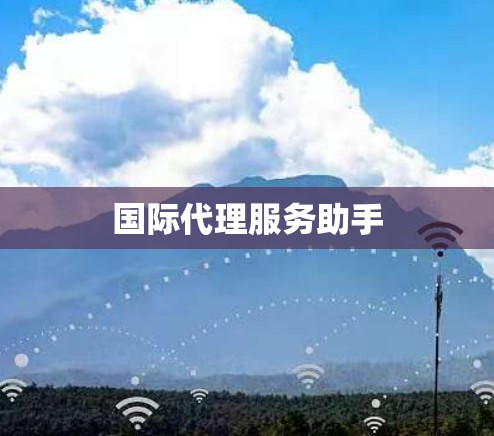国际代理服务助手 国际代理服务助手