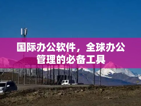 国际办公软件,全球办公管理的必备工具 国际办公软件,全球办公管理的必备工具