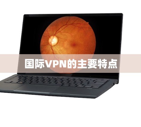 国际VPN的主要特点 国际VPN的主要特点