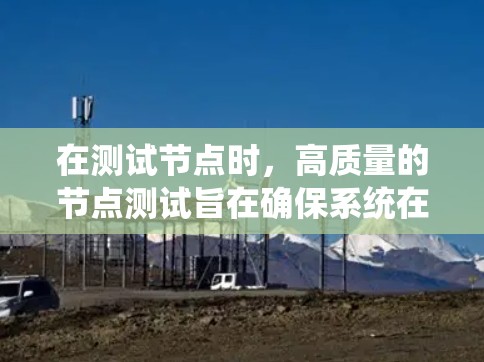 在测试节点时，高质量的节点测试旨在确保系统在处理大量数据或任务时的稳定性和性能。以下是一个详细的高质量节点测试指南，帮助您设计和执行高效的测试
