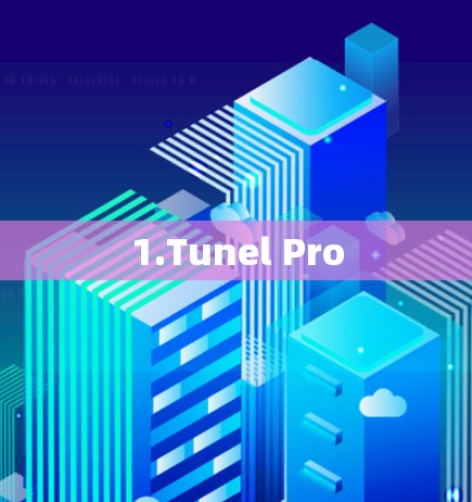 1.Tunel Pro