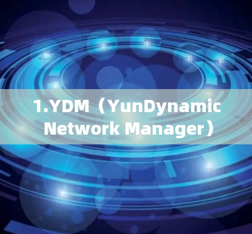 1.YDM（YunDynamic Network Manager）