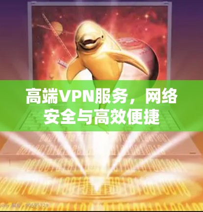 高端VPN服务，网络安全与高效便捷