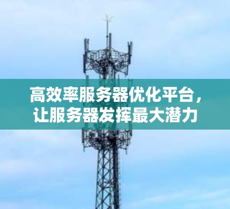 高效率服务器优化平台，让服务器发挥最大潜力