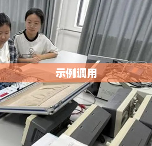 示例调用 示例调用