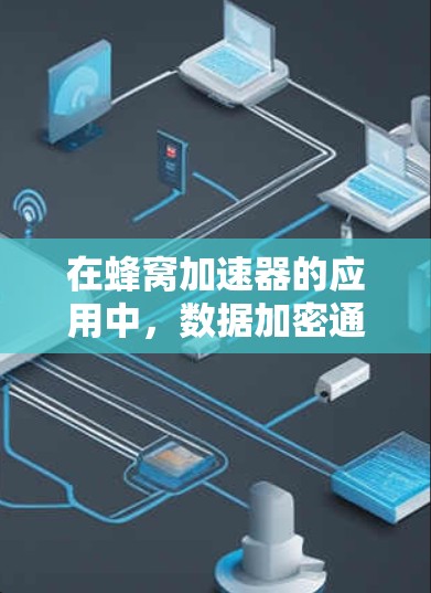 在蜂窝加速器的应用中，数据加密通常是为了确保数据的安全性和不可被窃取或篡改。蜂窝网络可能使用射频识别（RFID）技术，因此数据加密在蜂窝网络中非常重要