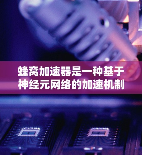 蜂窝加速器是一种基于神经元网络的加速机制，通过神经元之间的同步和通信来增强信息传递，提升神经元网络的效率。以下是对蜂窝加速器的详细分析和总结