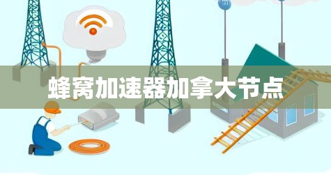 蜂窝加速器加拿大节点