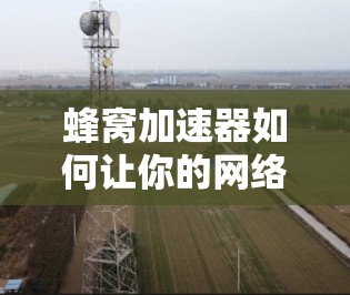 蜂窝加速器如何让你的网络速度更快 蜂窝加速器如何让你的网络速度更快