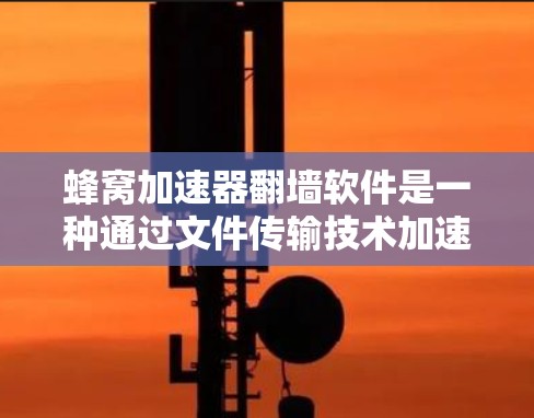 蜂窝加速器翻墙软件是一种通过文件传输技术加速网络的工具，结合了蜂窝加速器和翻墙技术，广泛应用于加速下载、上传和资源访问。以下是关于该类软件的详细信息